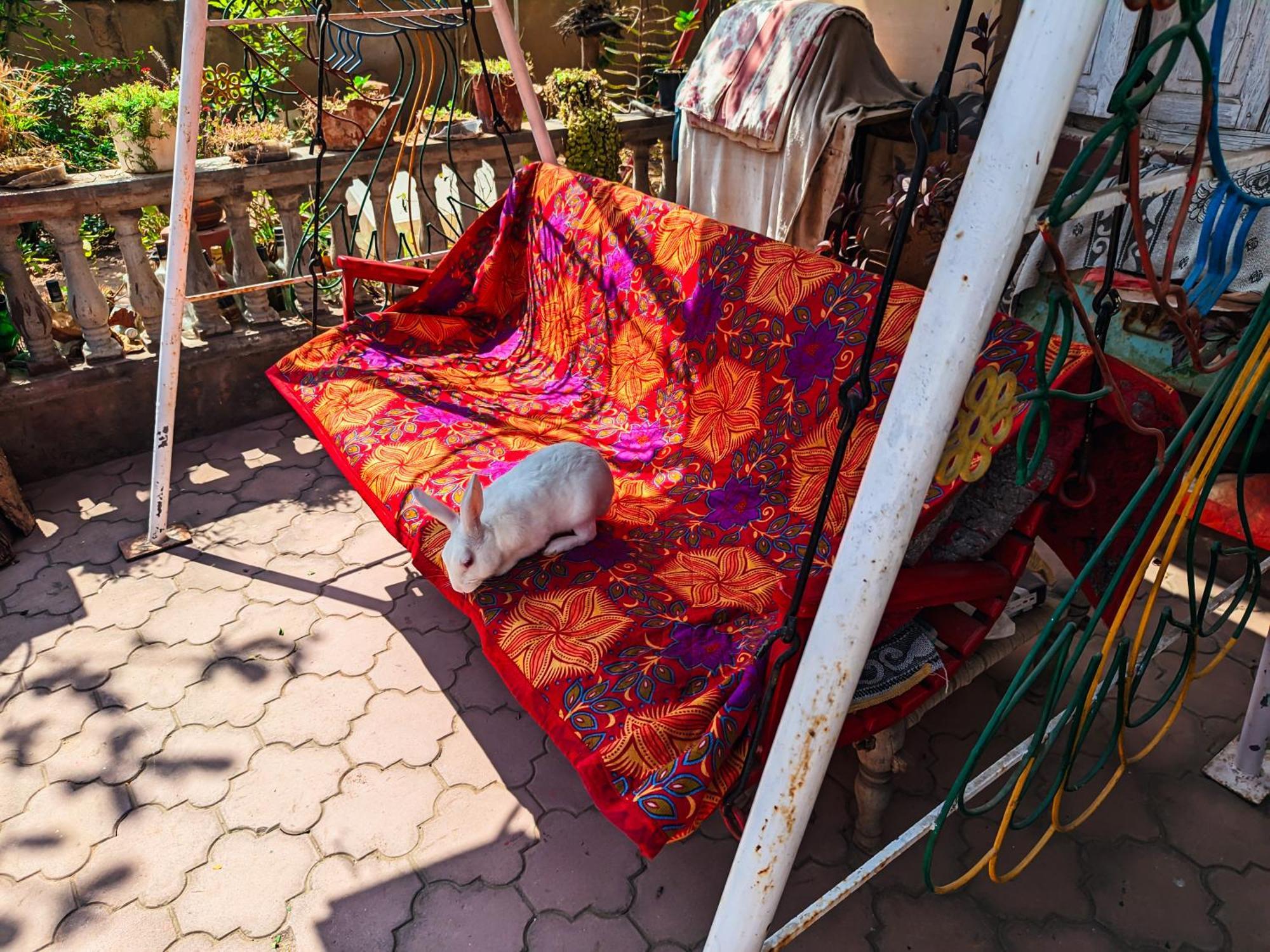 Jaat House Villa Bhudzs Kültér fotó